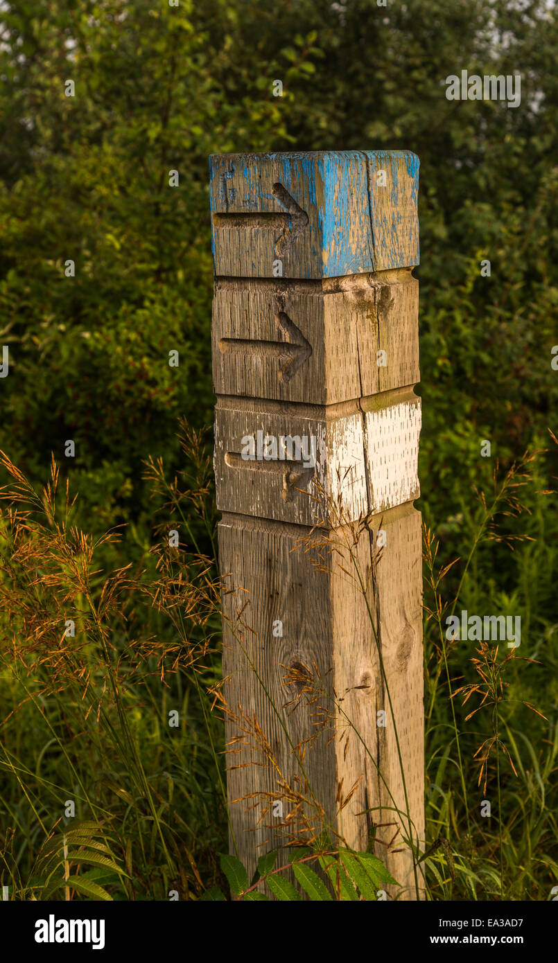 A wood post with carved arrows pointing the direction along a path. Stock Photo