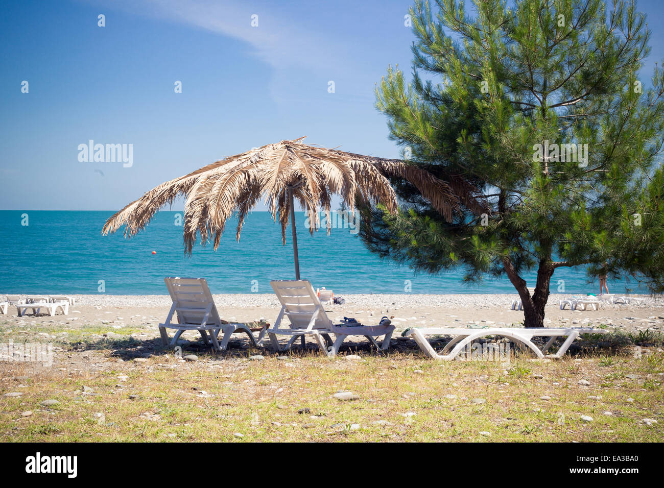 Black sea coast, Pitsunda, Abkhazia Stock Photo
