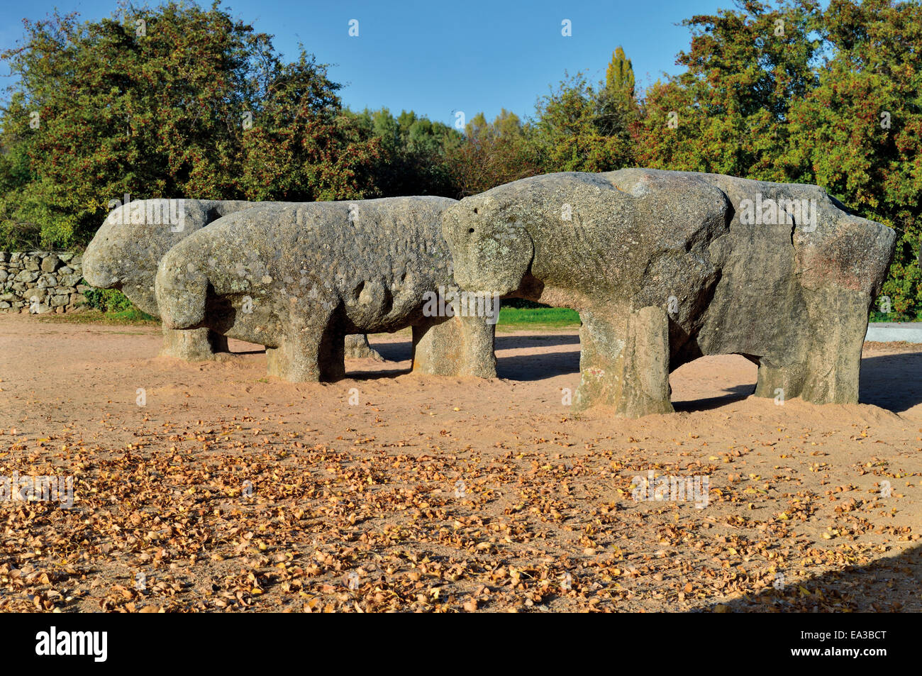 Spain, Castilla-Leon: Roman stone bull statues  ' Toros de Guisando' Stock Photo