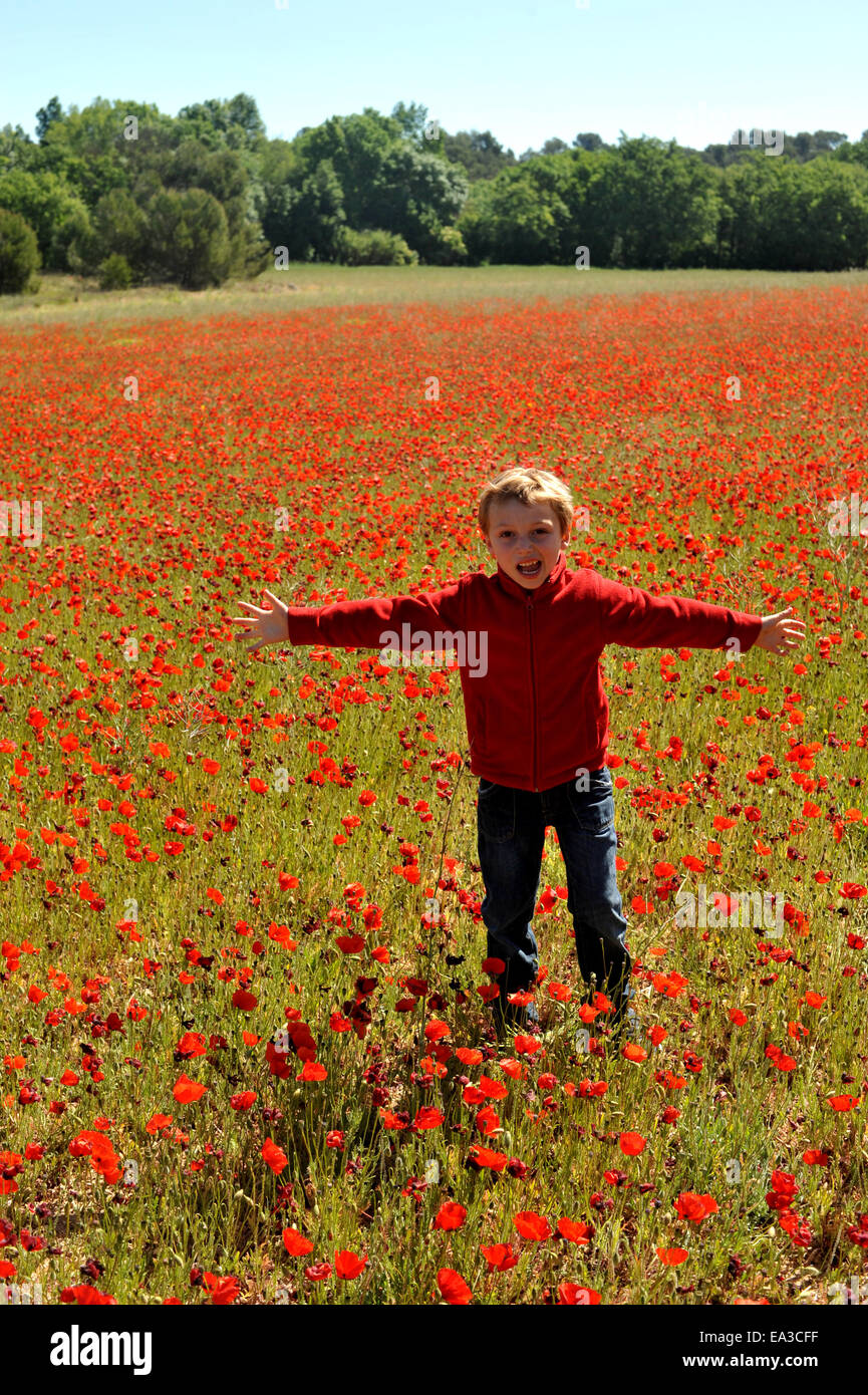Poppy field provence south france hi-res stock photography and images ...