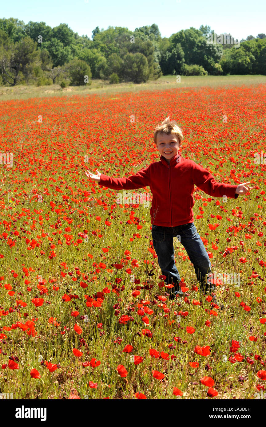Child in flowering field hi-res stock photography and images - Alamy