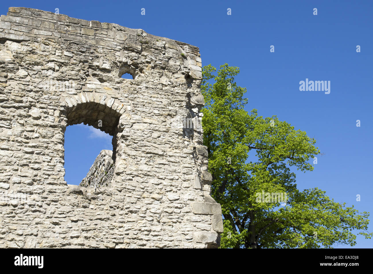 Castle ruin Bad Lippspringe, Germany Stock Photo
