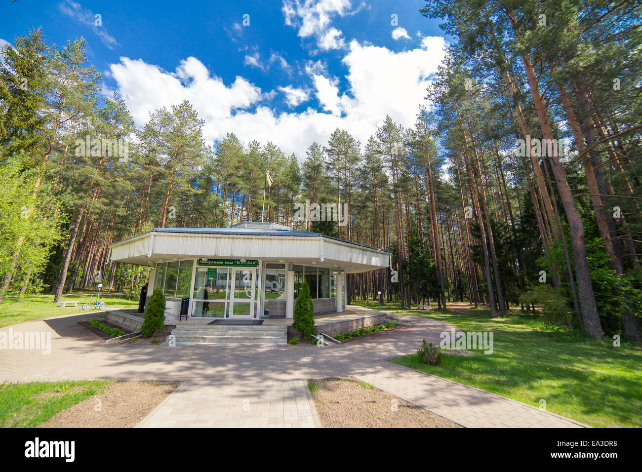 Боровая санаторий минск. Санаторий боровое витебская. Санаторий сосновый бор белоруссия. Санаторий баровая витебская область. Санаторий боровое белоруссия.