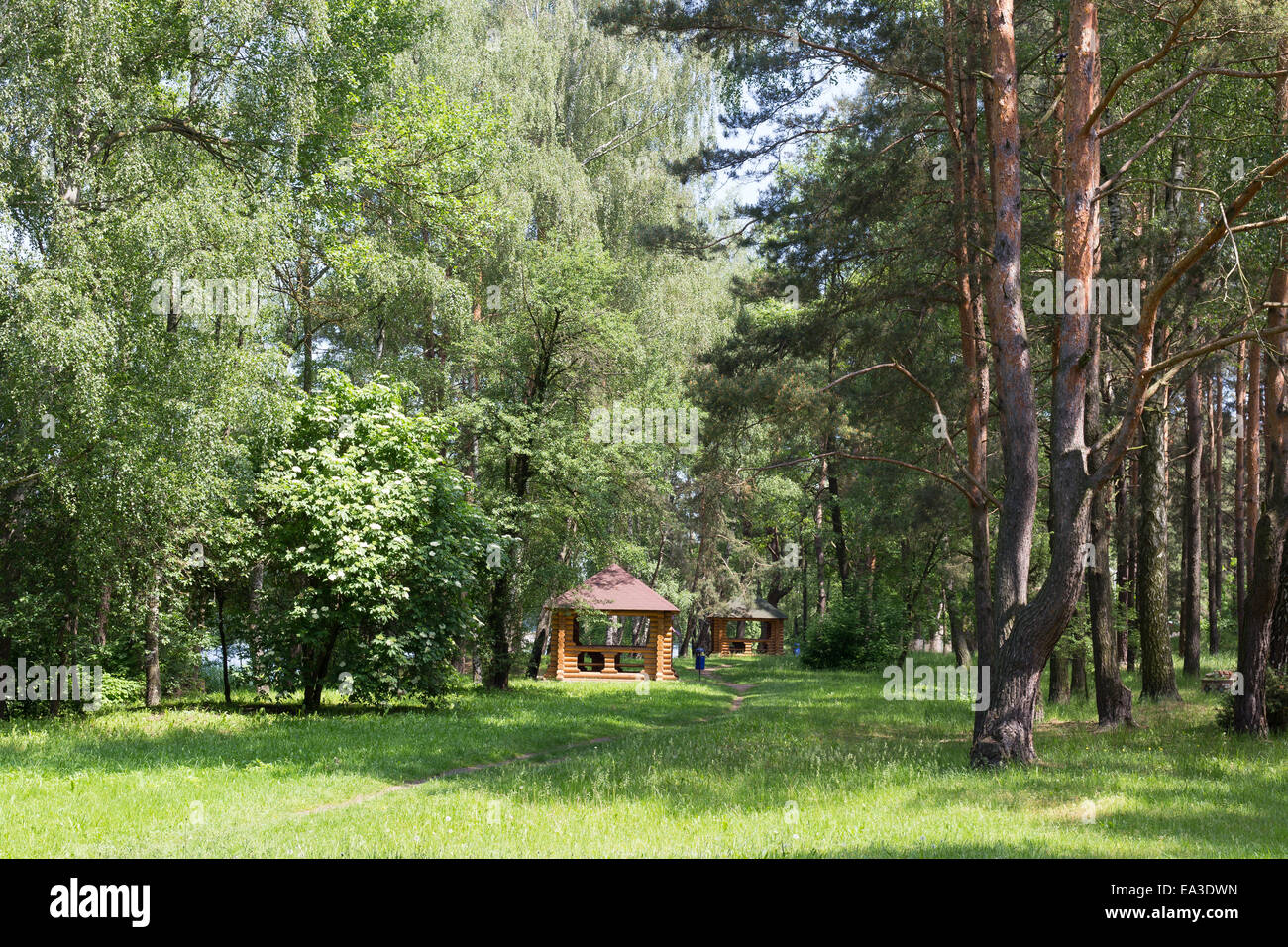 Wooden arbour in the park, Brest region, Belarus Stock Photo