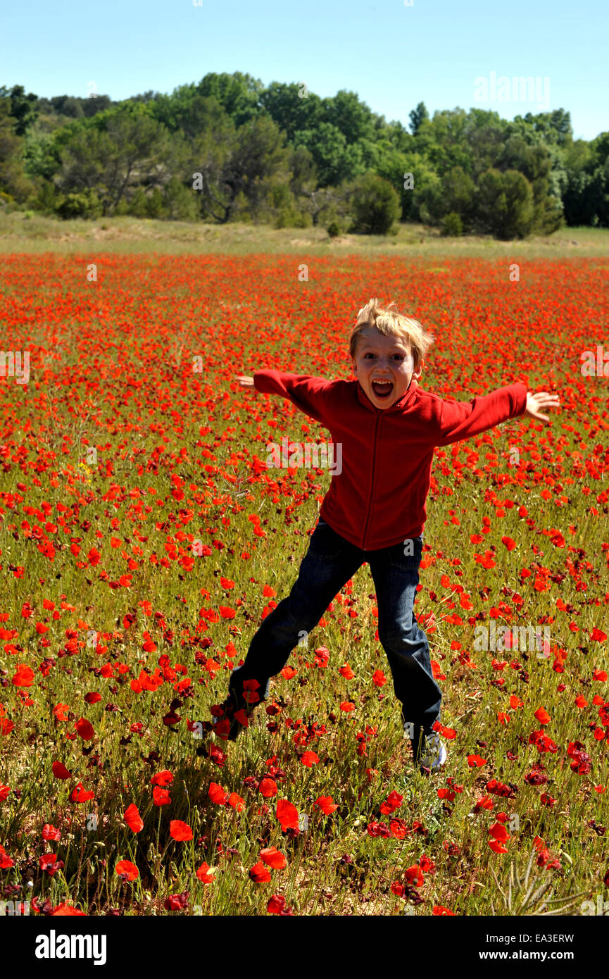 Child in flowering field hi-res stock photography and images - Alamy