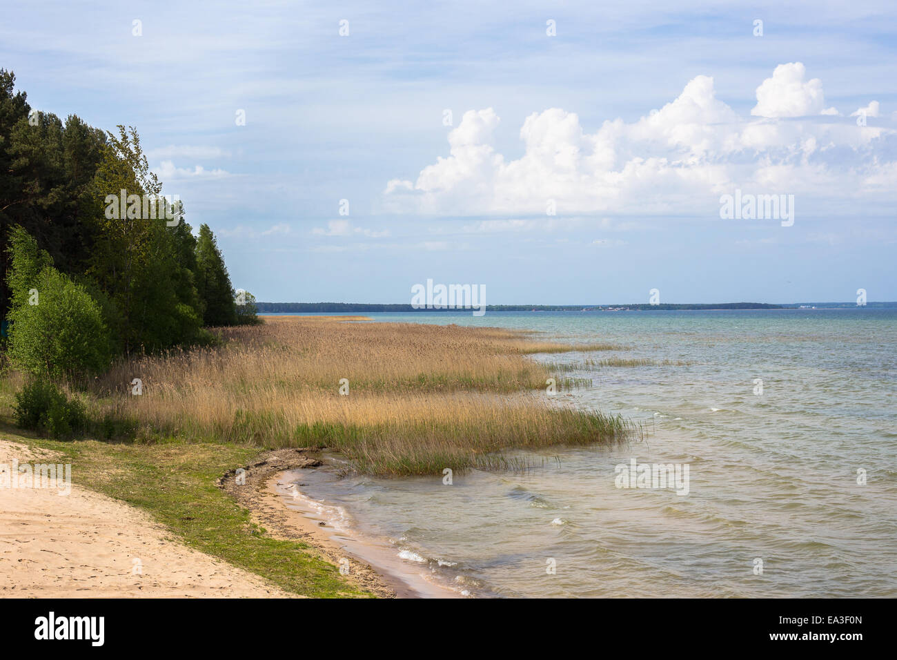 Ikki ona oglining dugonasi bilan shahvoniy Woodman porno uchlik