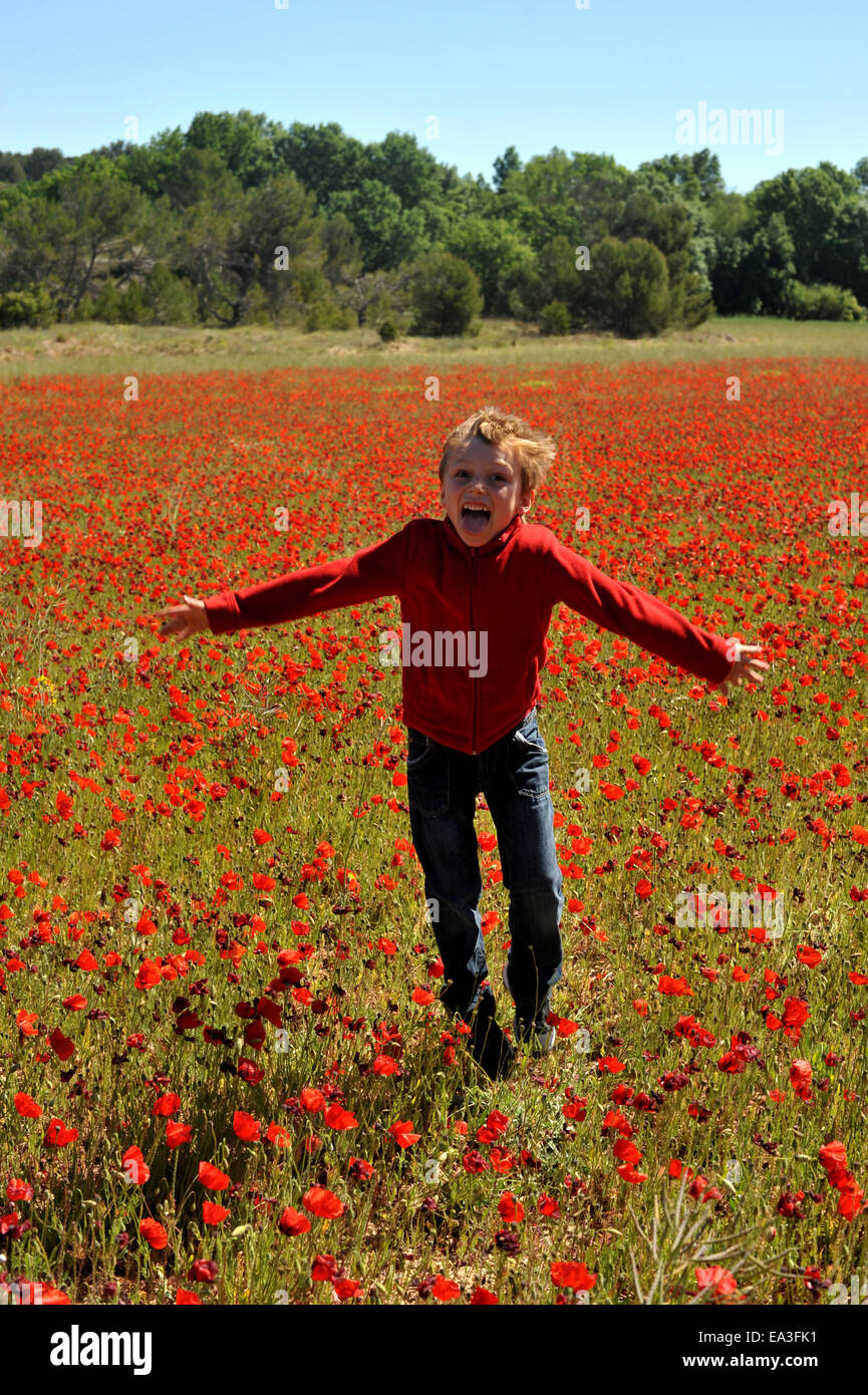 Poppy Field In Spring Stock Photo - Alamy