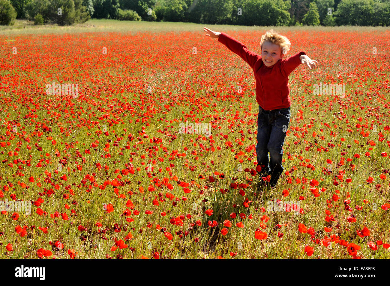 Child flower field hi-res stock photography and images - Alamy