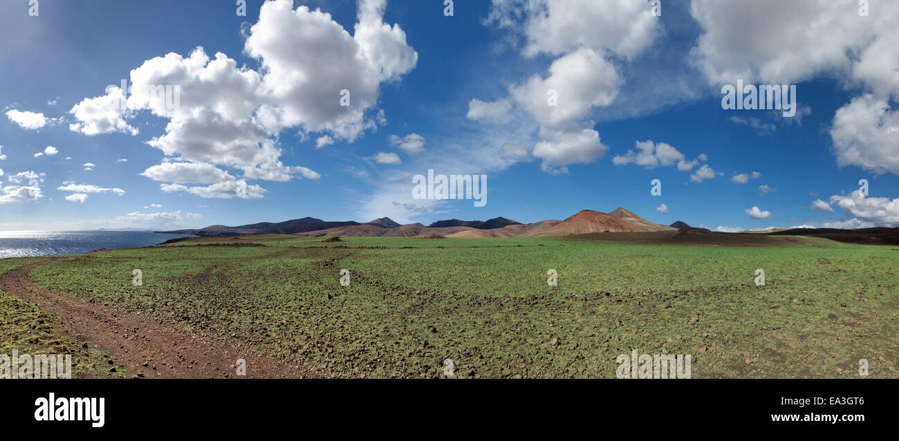 Lanzarote - Fresh green after rain Stock Photo