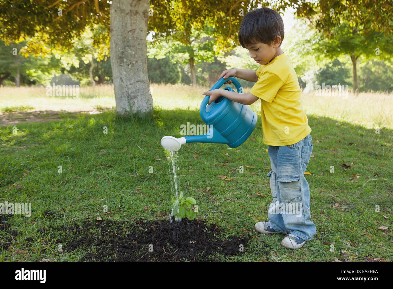 Young boy watering a young plant in park Stock Photo Alamy