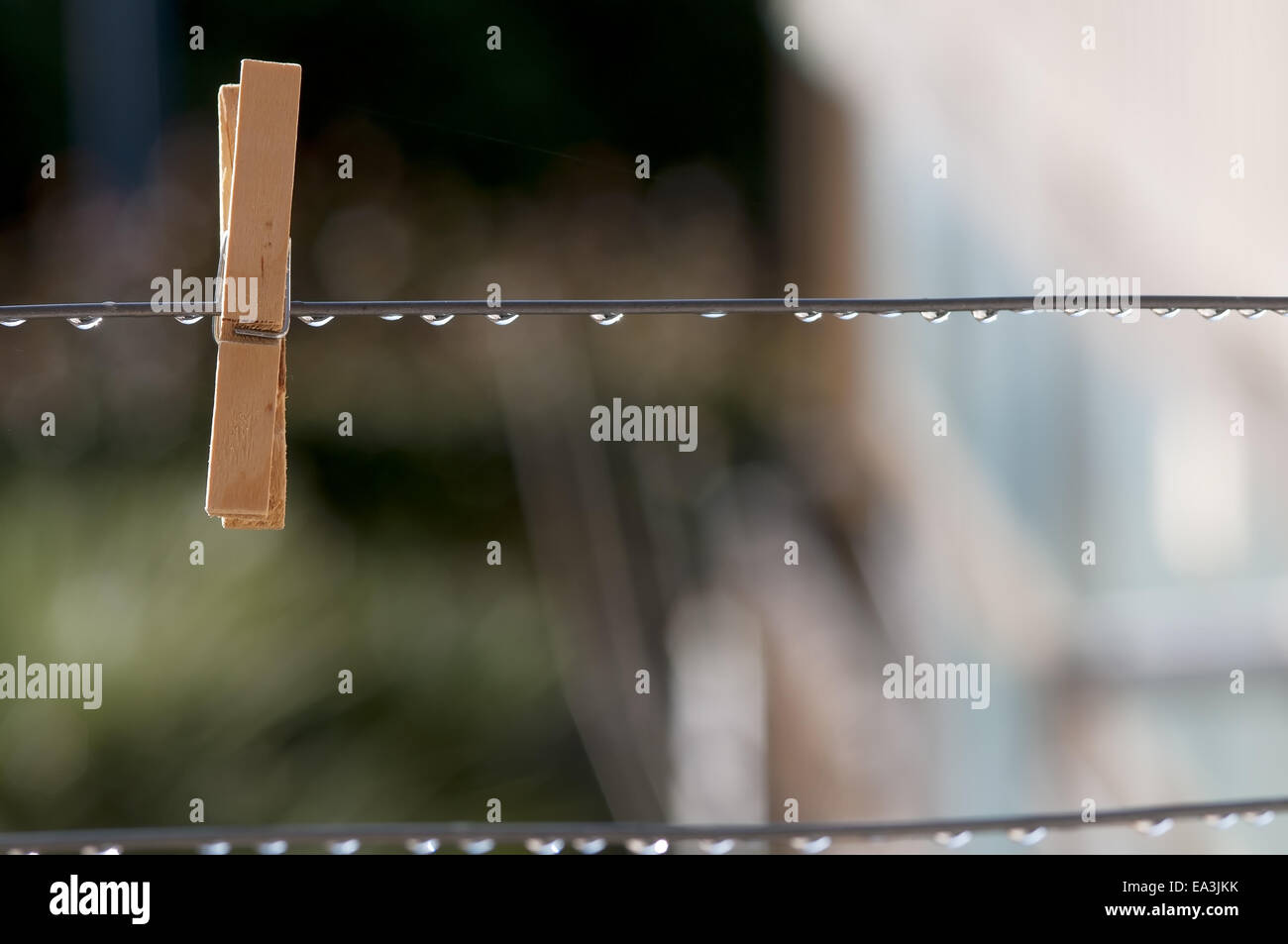 Peg for clothes in a rainy day with out of focus background Stock Photo