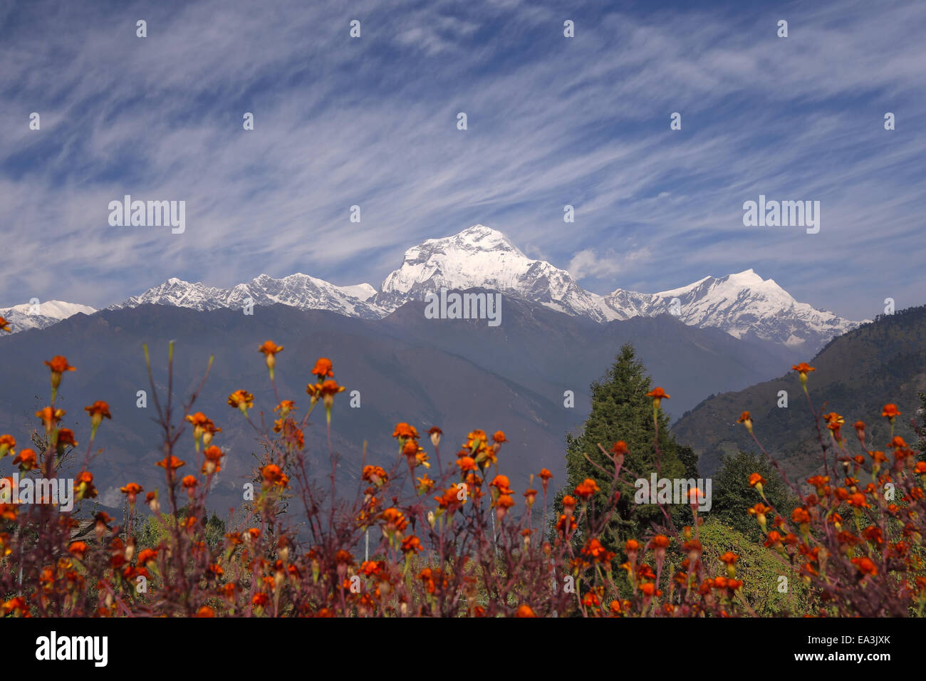 Himalayas hi-res stock photography and images - Alamy