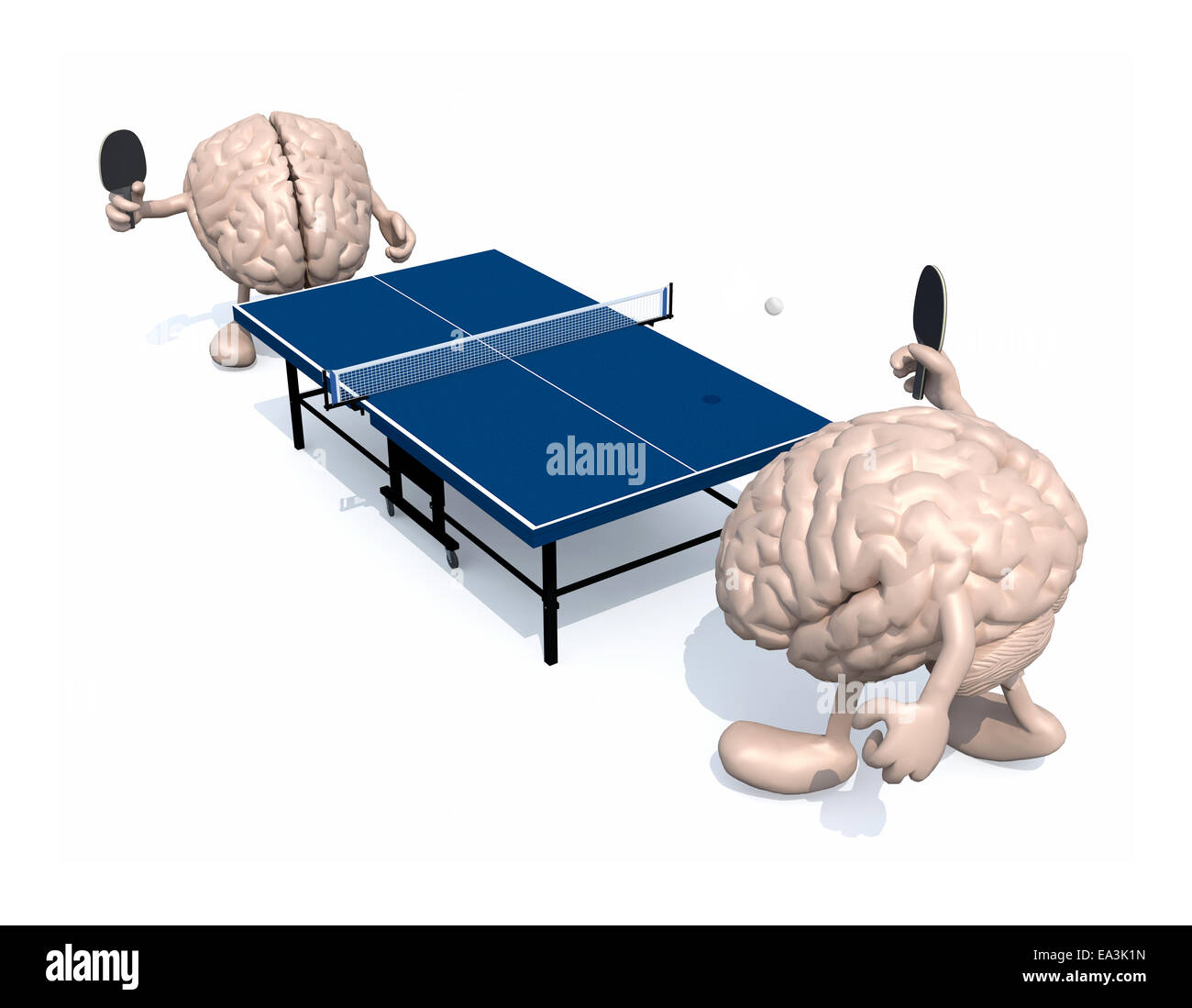 two human brains with arms and legs that playing to table tennis, 3d illustration Stock Photo