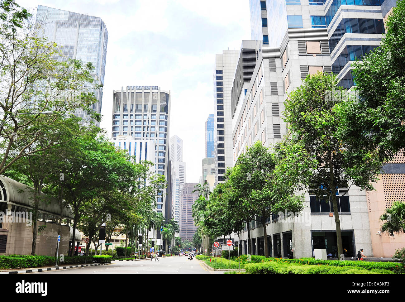 Singapore street scene trees hi-res stock photography and images - Alamy
