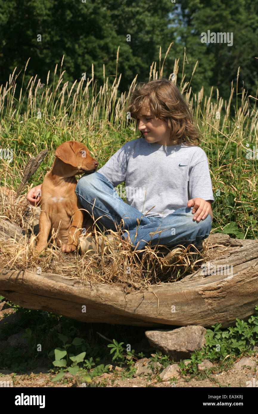 boy with Rhodesian Ridgeback Stock Photo