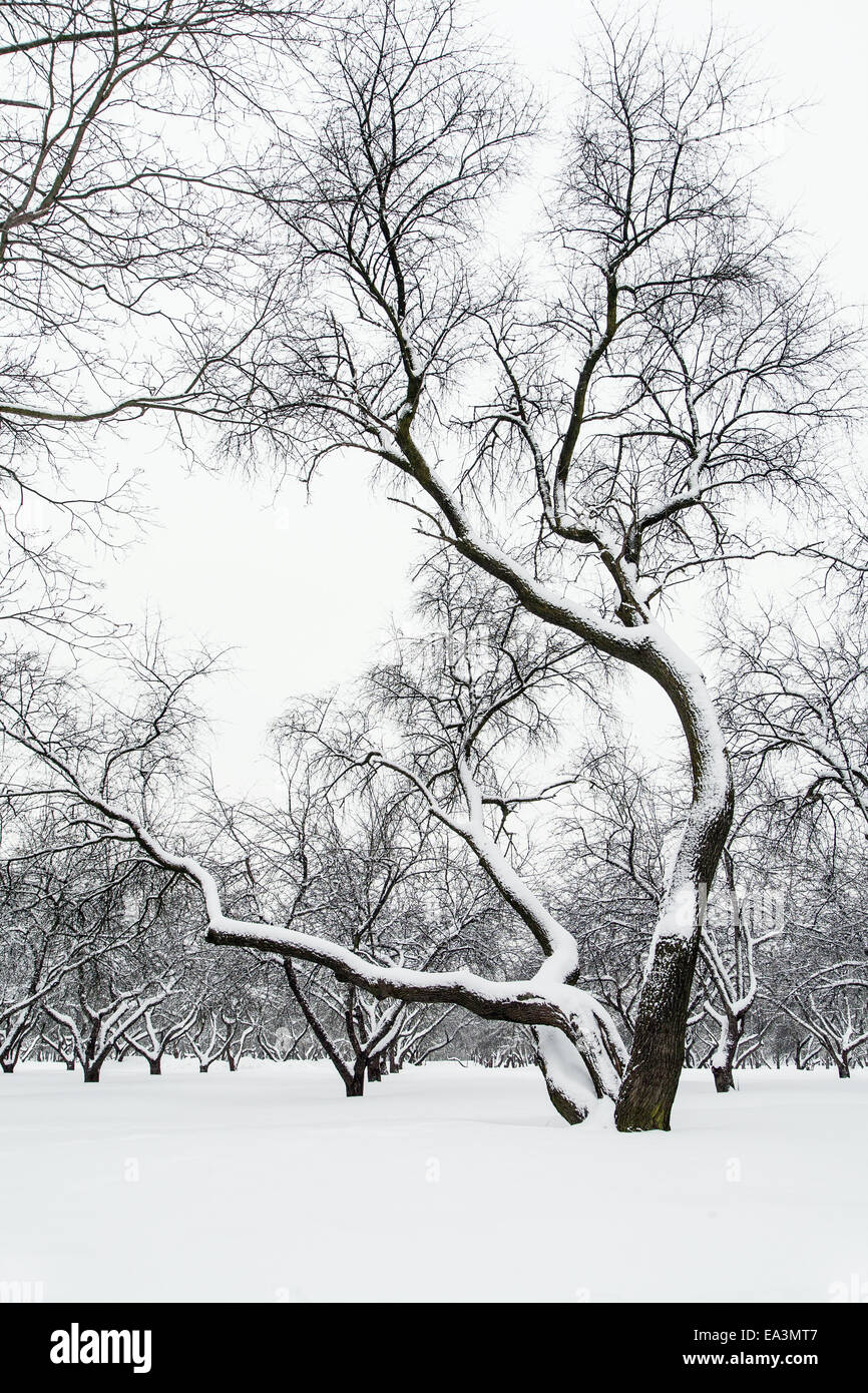 The close of winter hi-res stock photography and images - Alamy