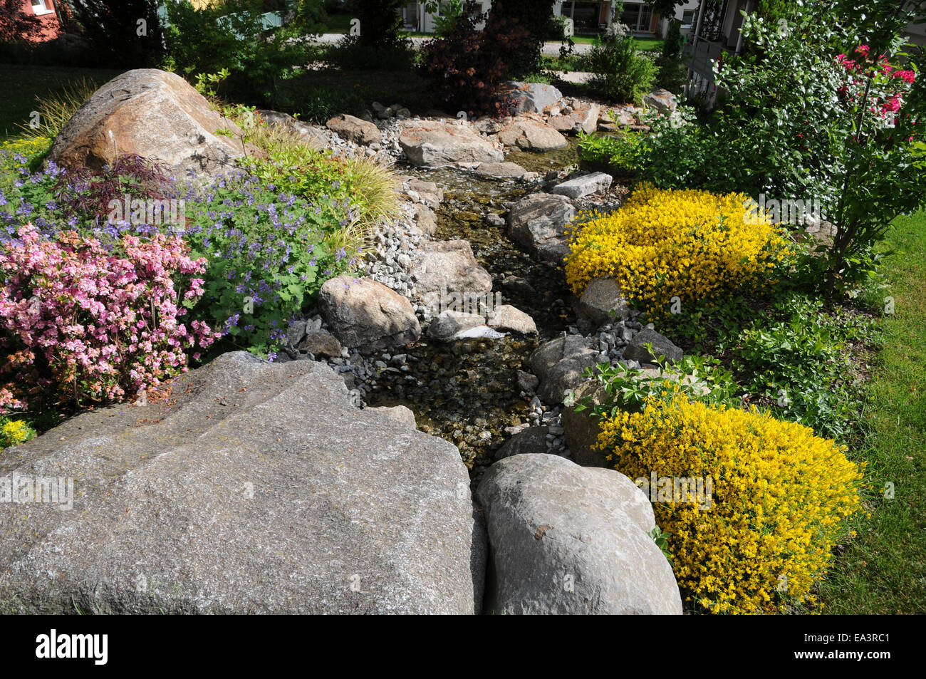 Creek Stock Photo Alamy