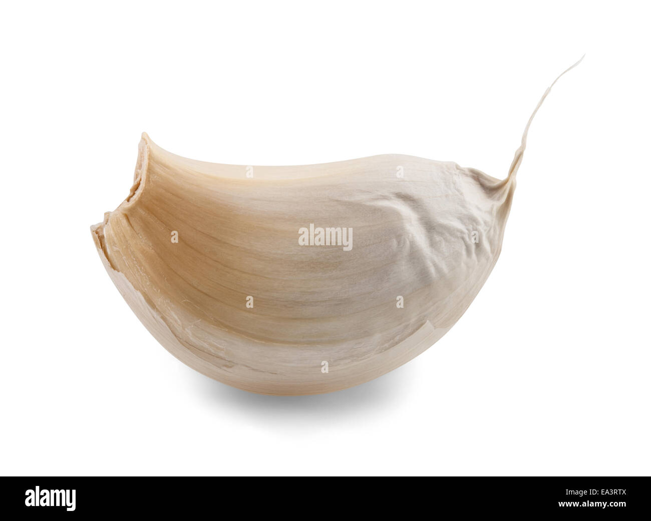 clove garlic Stock Photo Alamy