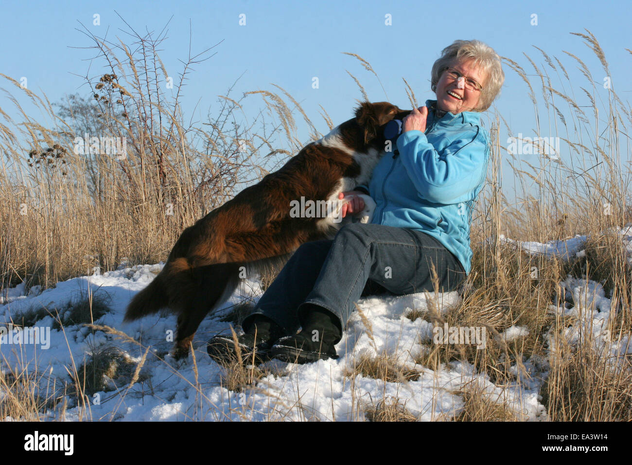 woman with Border Collie Stock Photo