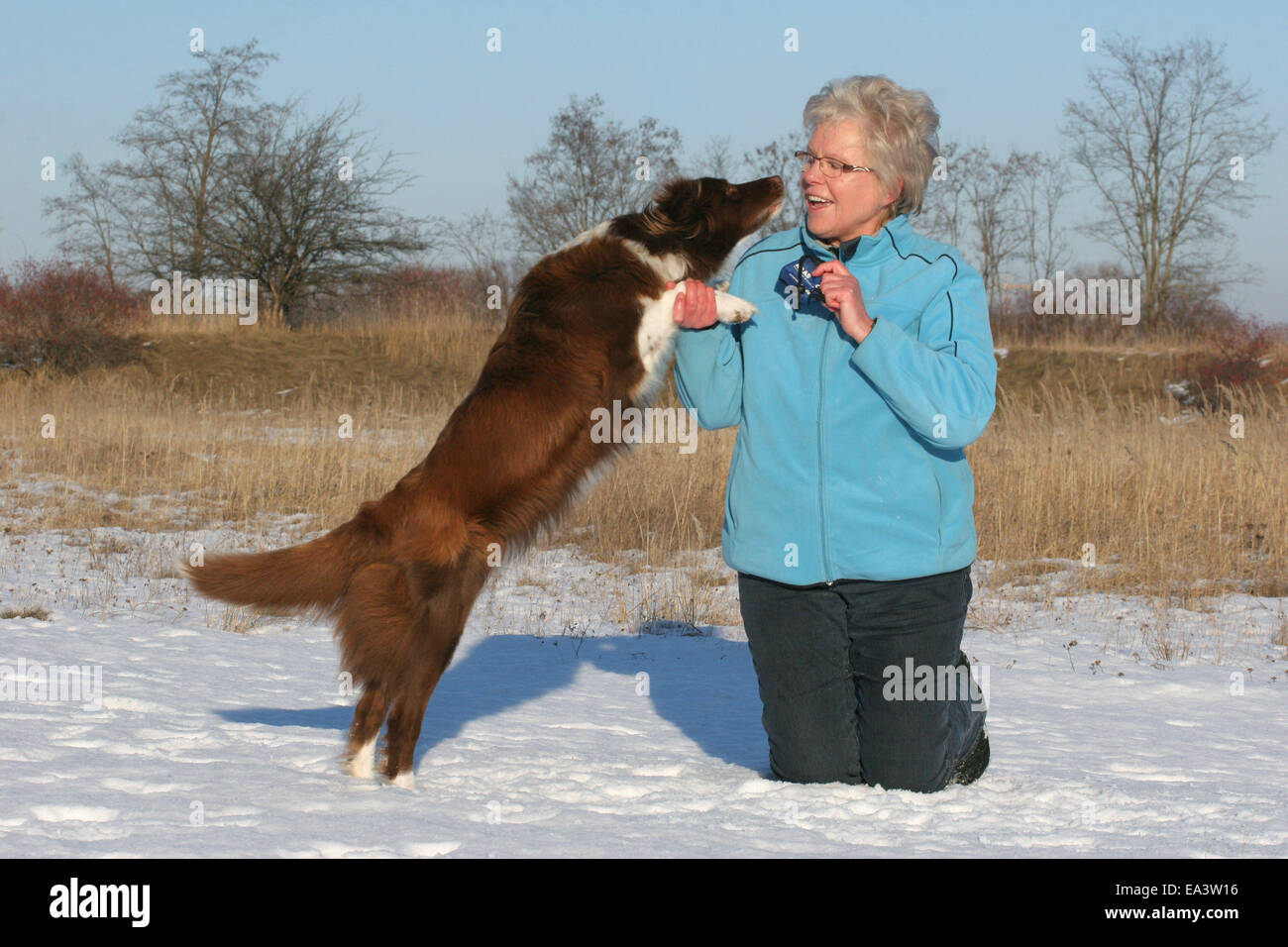 woman with Border Collie Stock Photo