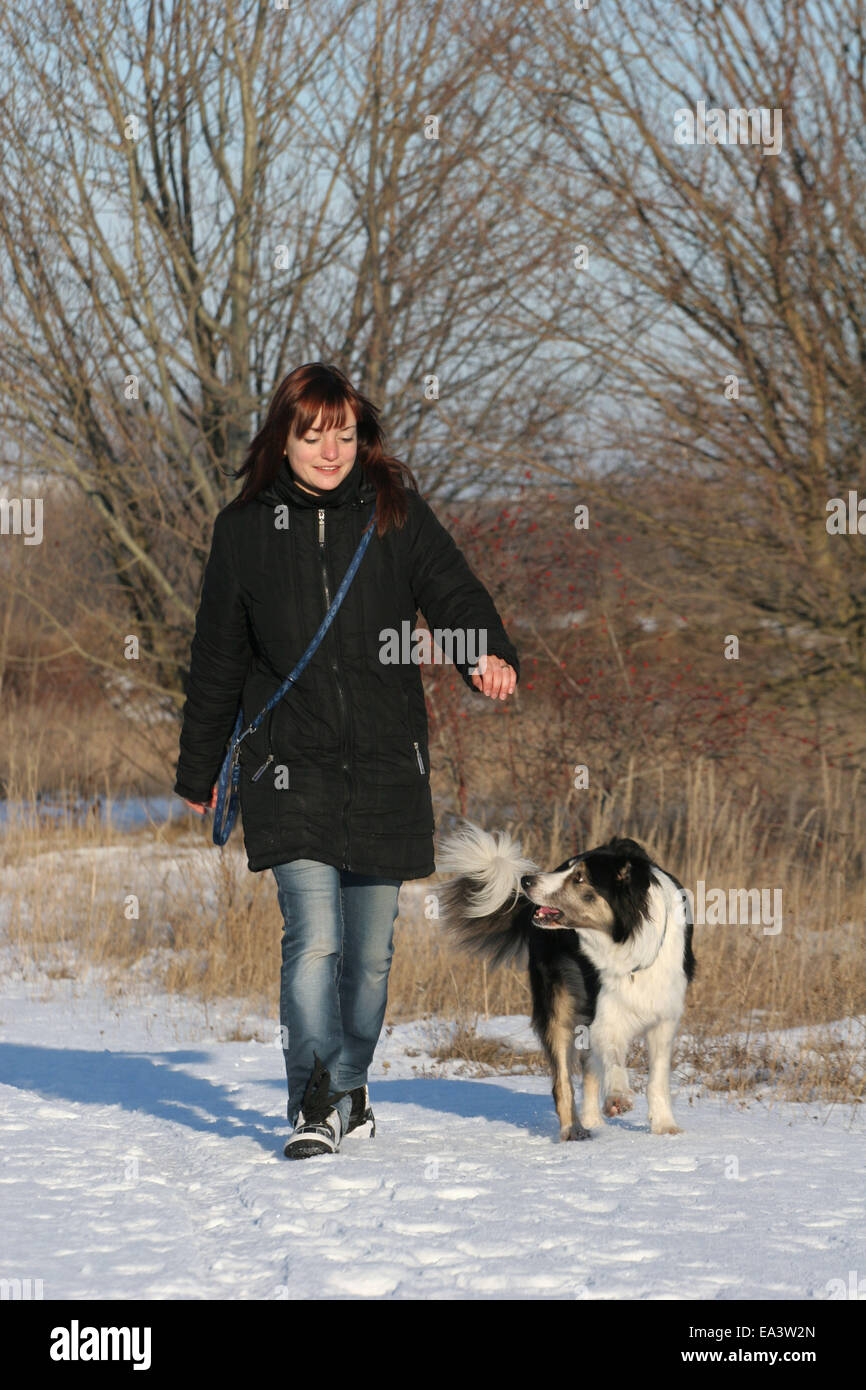 sb walk the dog