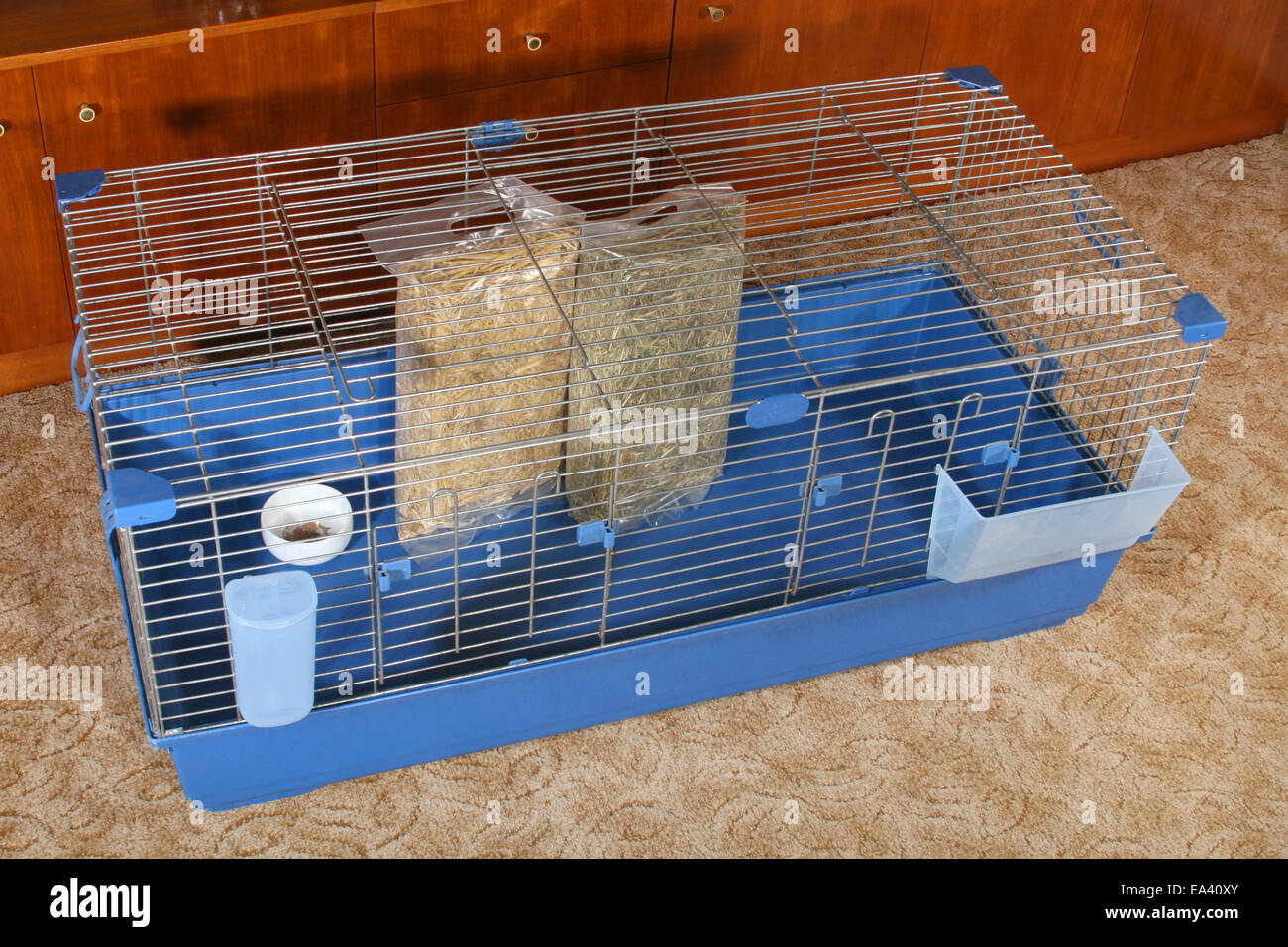 cage for bunnies and guinea pigs Stock Photo