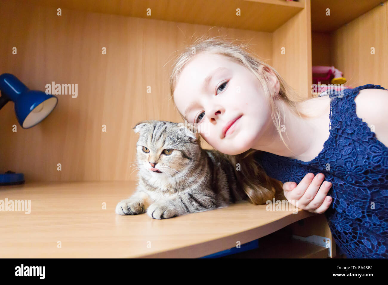 Girl with grey kitty Stock Photo
