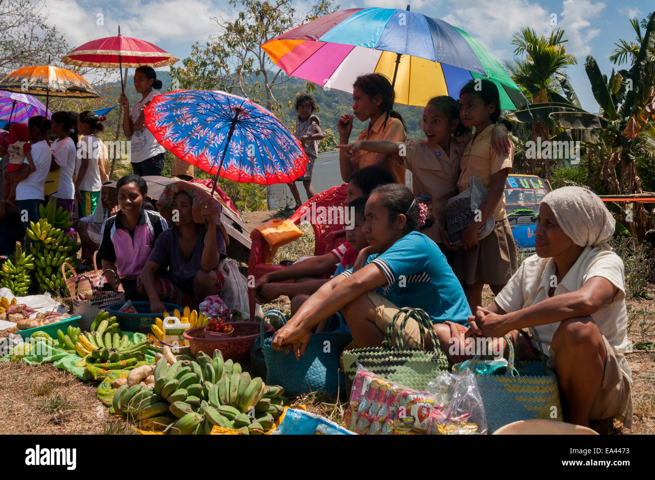 Women with their vegetables and fruits to trade at a barter market in Lembata Island, Indonesia. Stock Photo