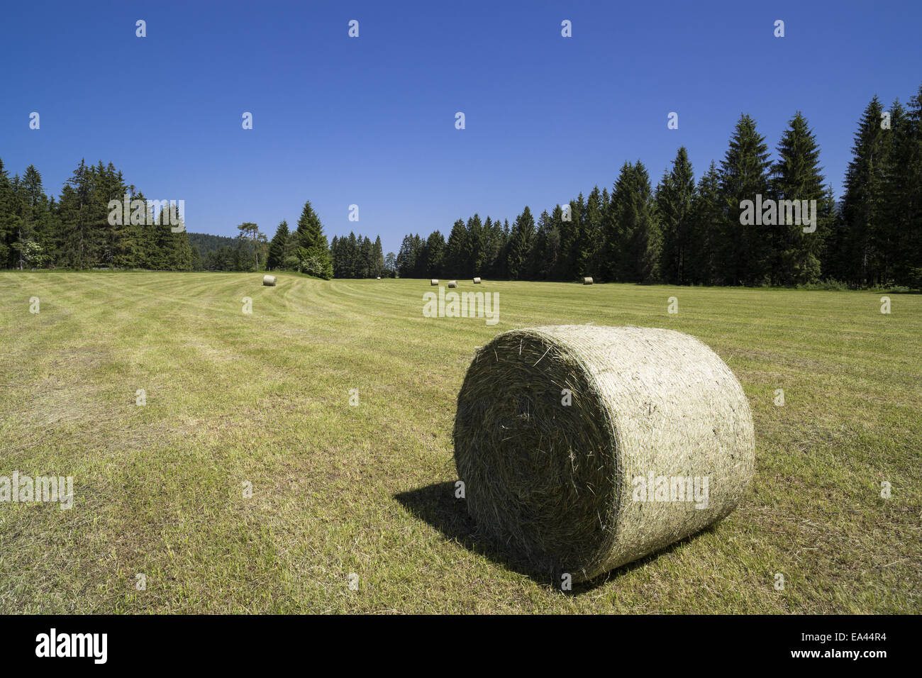 Bale shape hi-res stock photography and images - Alamy