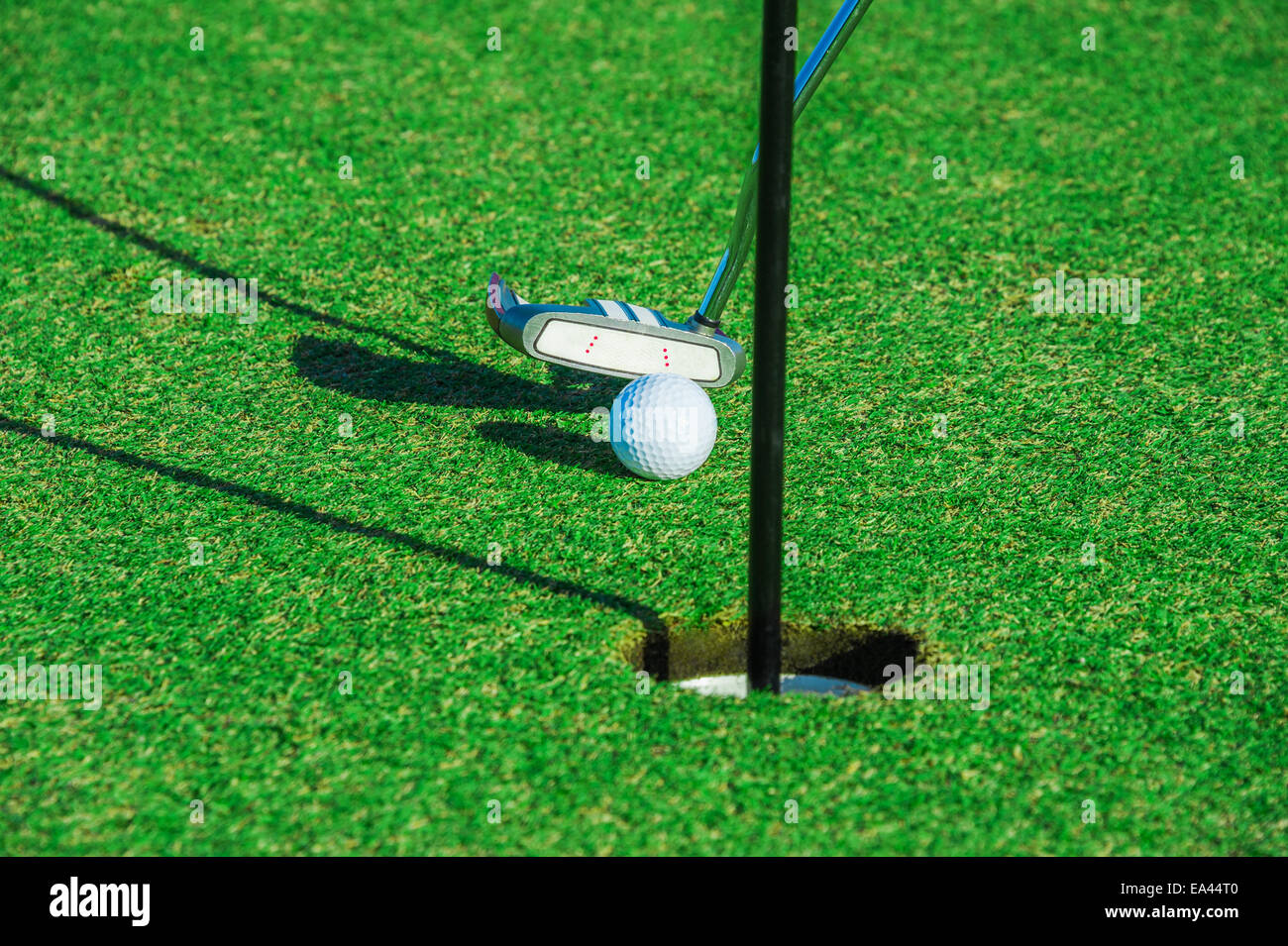 Golf club. Green field and ball in grass Stock Photo Alamy