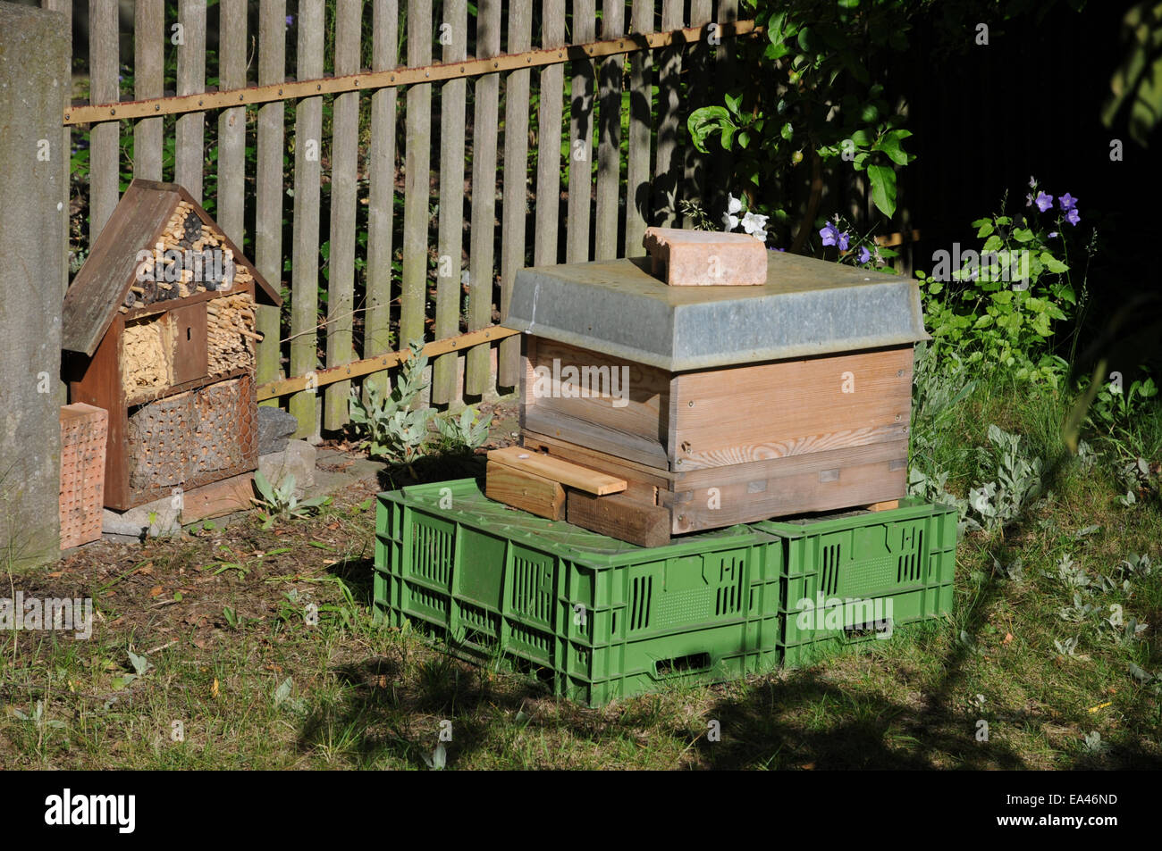 Beehive Stock Photo - Alamy