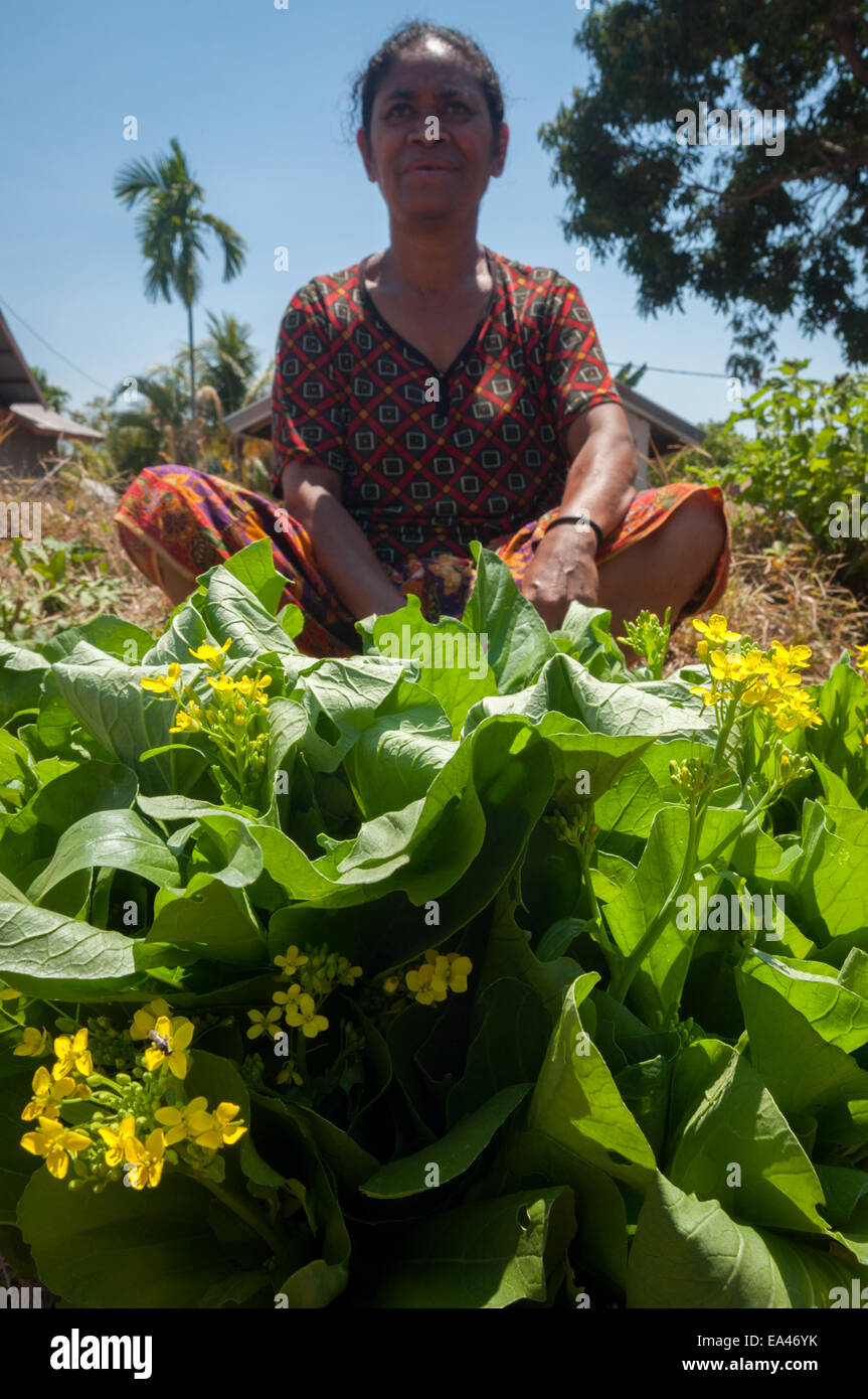 Woman with her vegetables to trade at a barter market in Lembata Island, Indonesia. Stock Photo