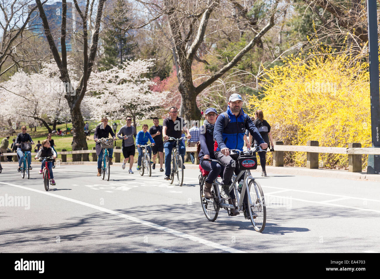 Tandem bike central park hires stock photography and images Alamy
