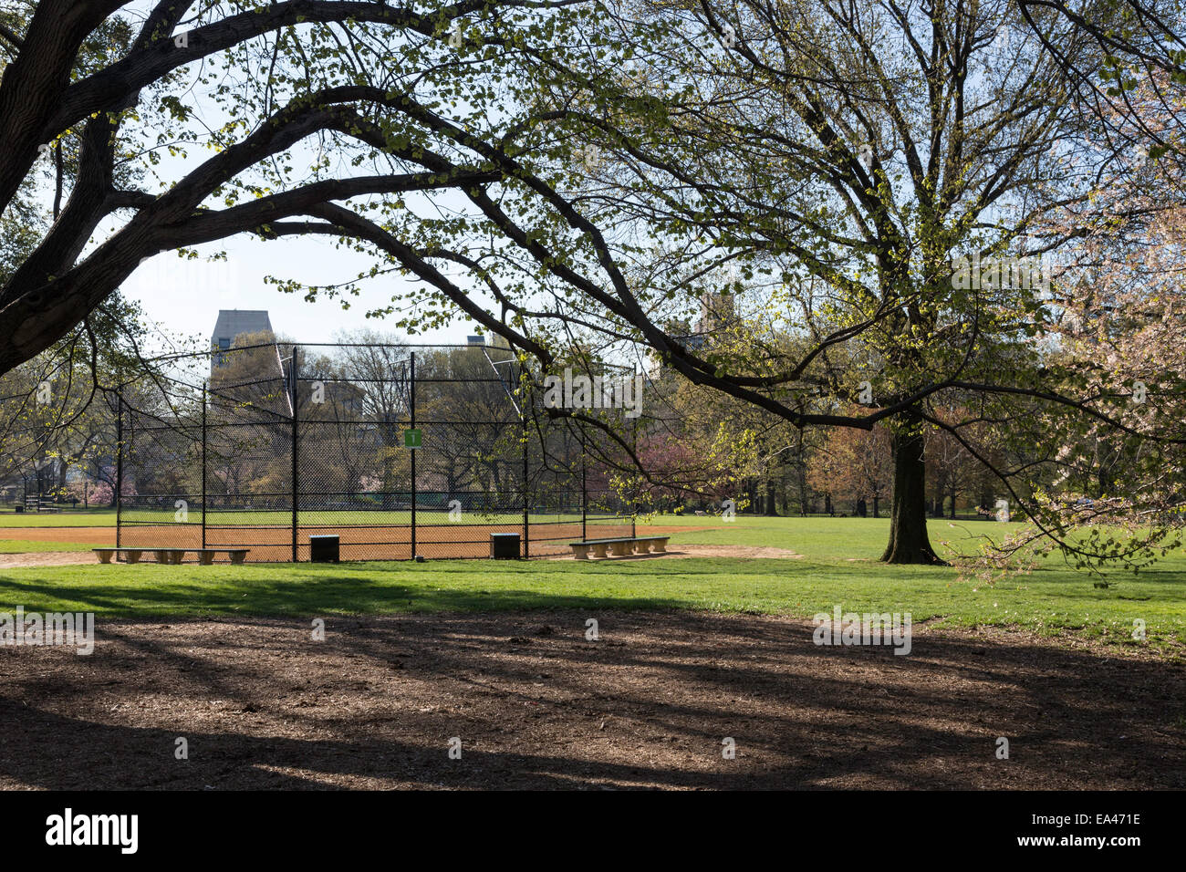 Softball Field, The Great Lawn, Central Park, NYC Stock Photo Alamy