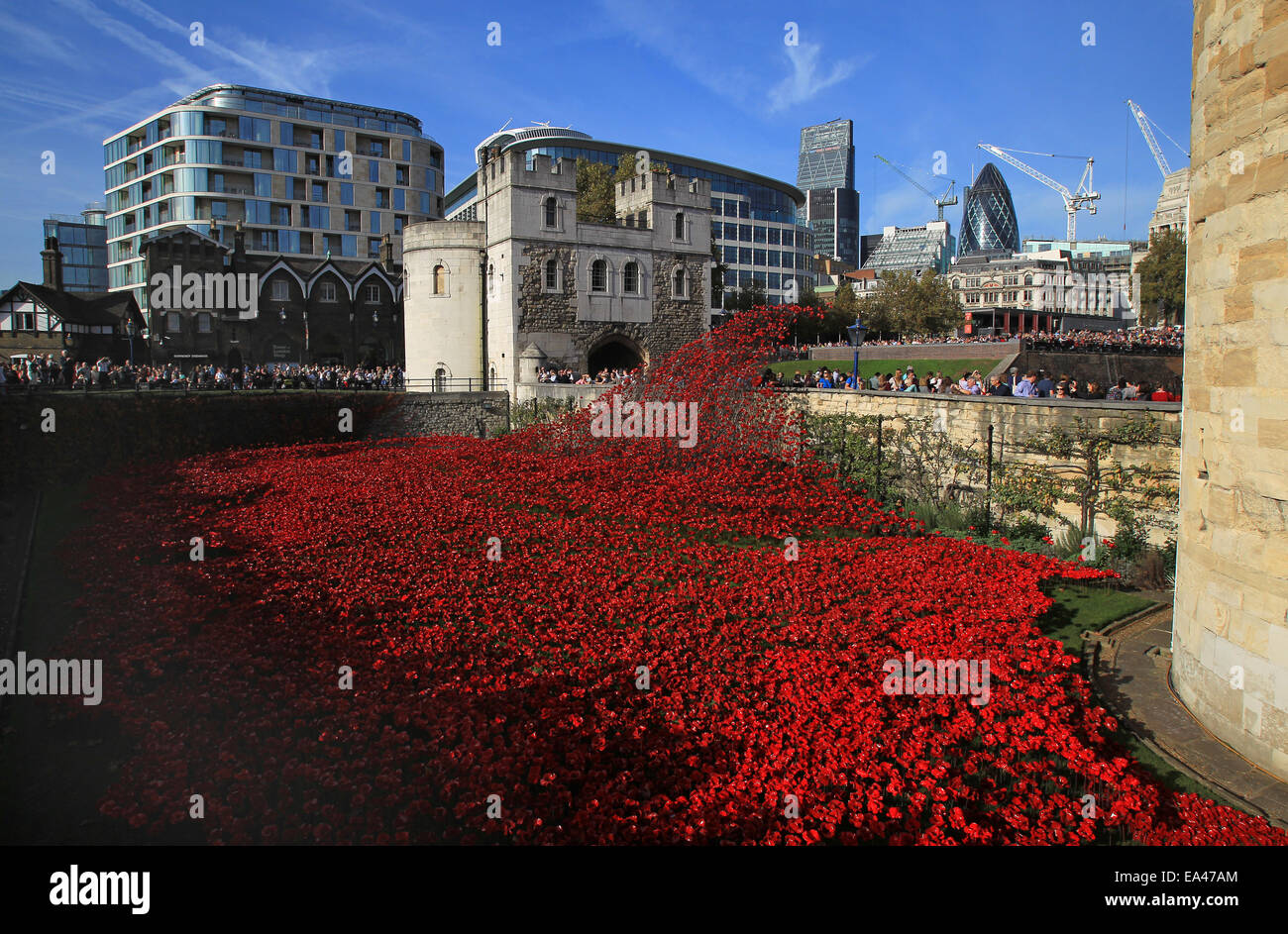 Ceramic poppy installation Blood Swept Lands and Seas Of Red at The Tower of London Stock Photo
