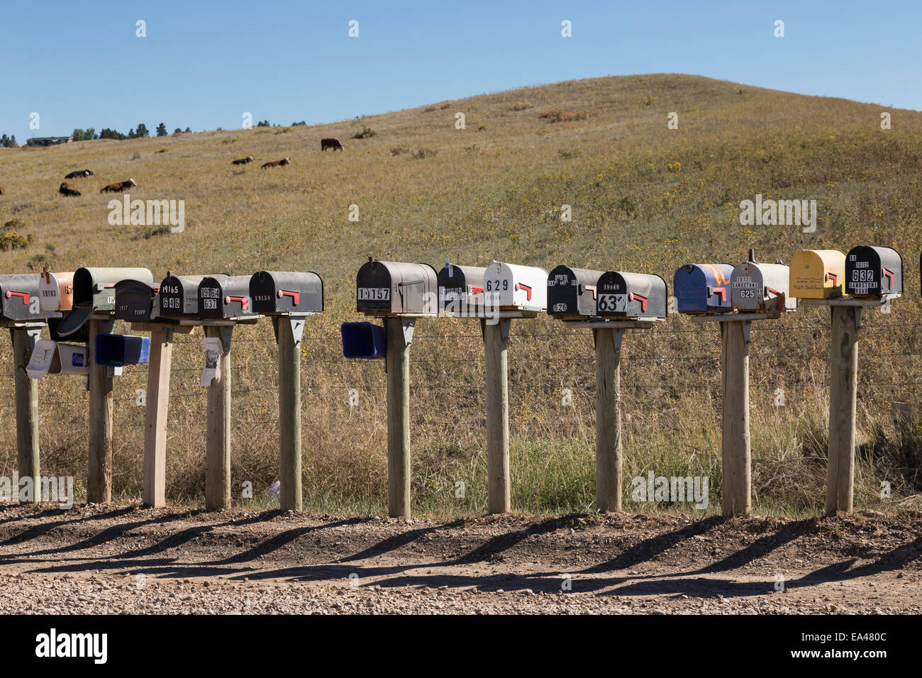 Line of Mailboxes (letterboxes) on Rural Dirt Road, South Dakota, USA Stock Photo