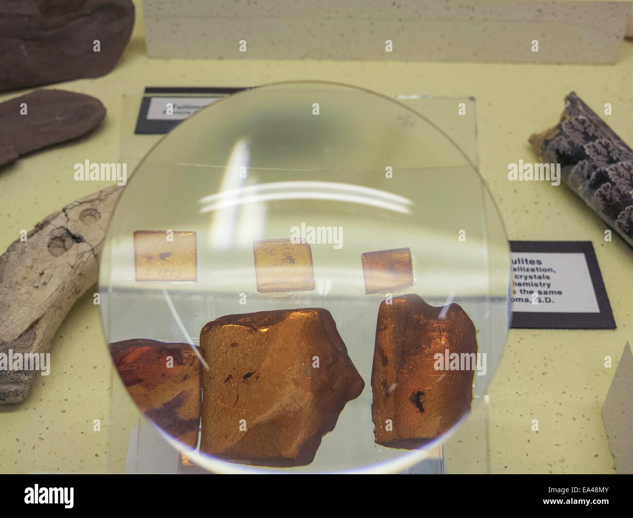 Museum of Geology, South Dakota School of Mines & Technology, Rapid City, Black Hills, SD, USA Stock Photo