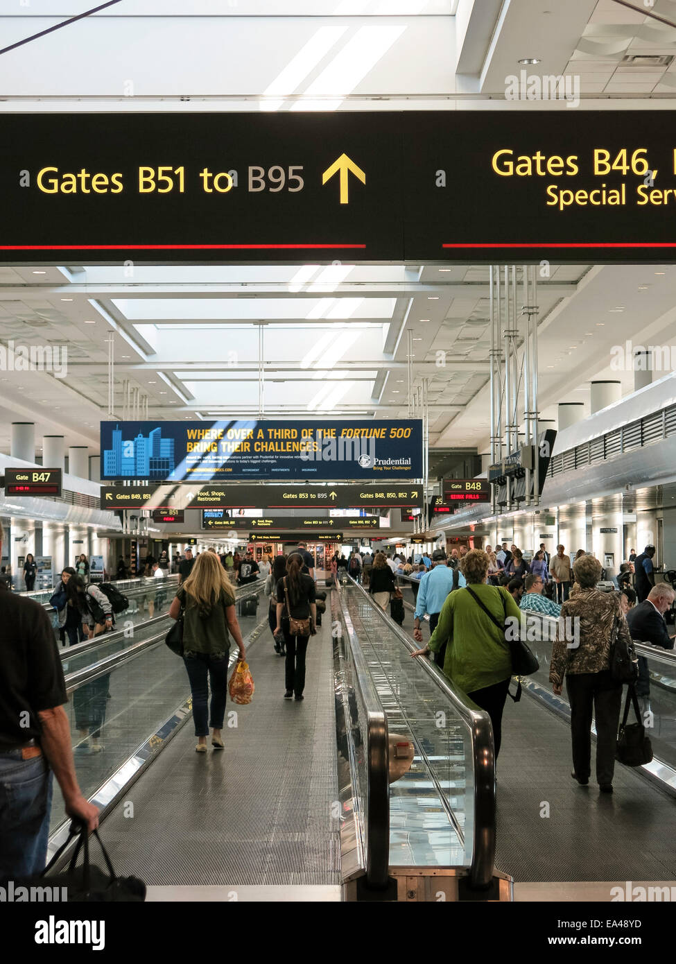 Airport Travelers, Moving Sidewalks and Gates, United Terminal, Denver International Airport, CO Stock Photo