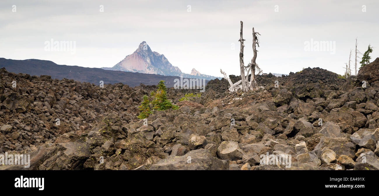 Mount Washington juts up into the horizon over a sea of lava. Stock Photo