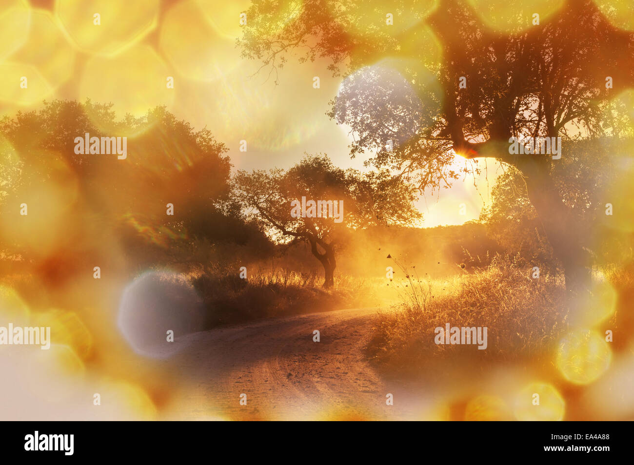 Road in field Stock Photo - Alamy