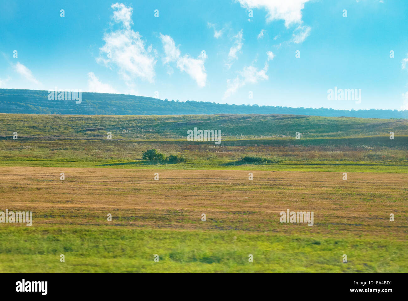 Green field with grass and blue beautiful cloudy sky Stock Photo - Alamy