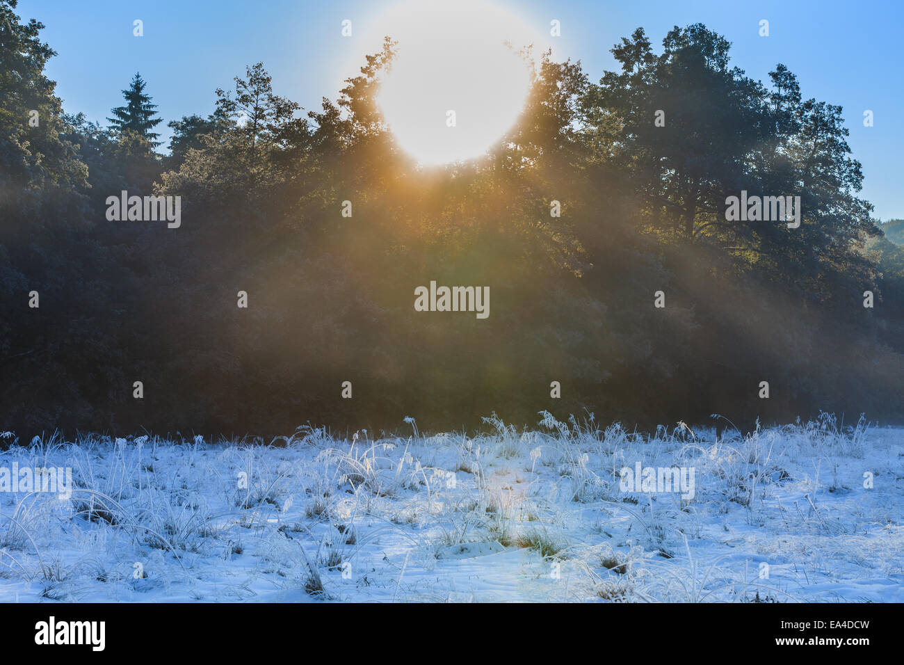 Sunrise frost hi-res stock photography and images - Alamy