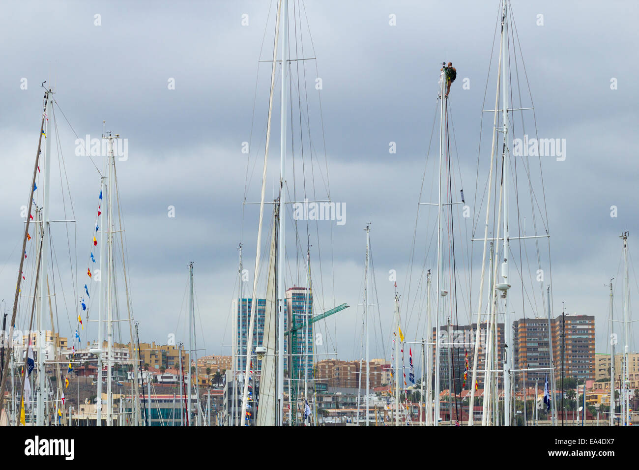 Sailor climbing yacht mast Stock Photo Alamy