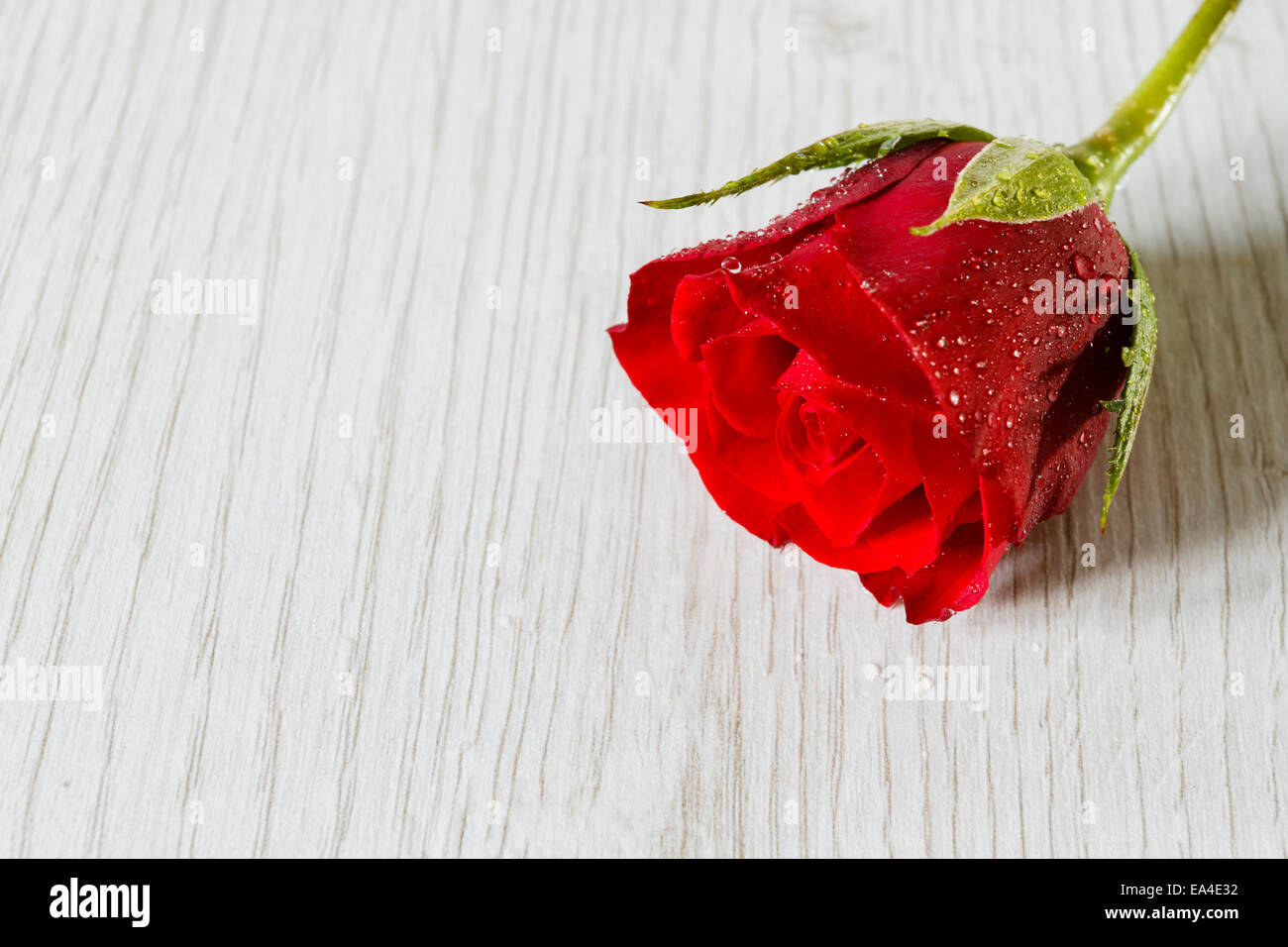 Single red rose on a wooden table top Stock Photo - Alamy