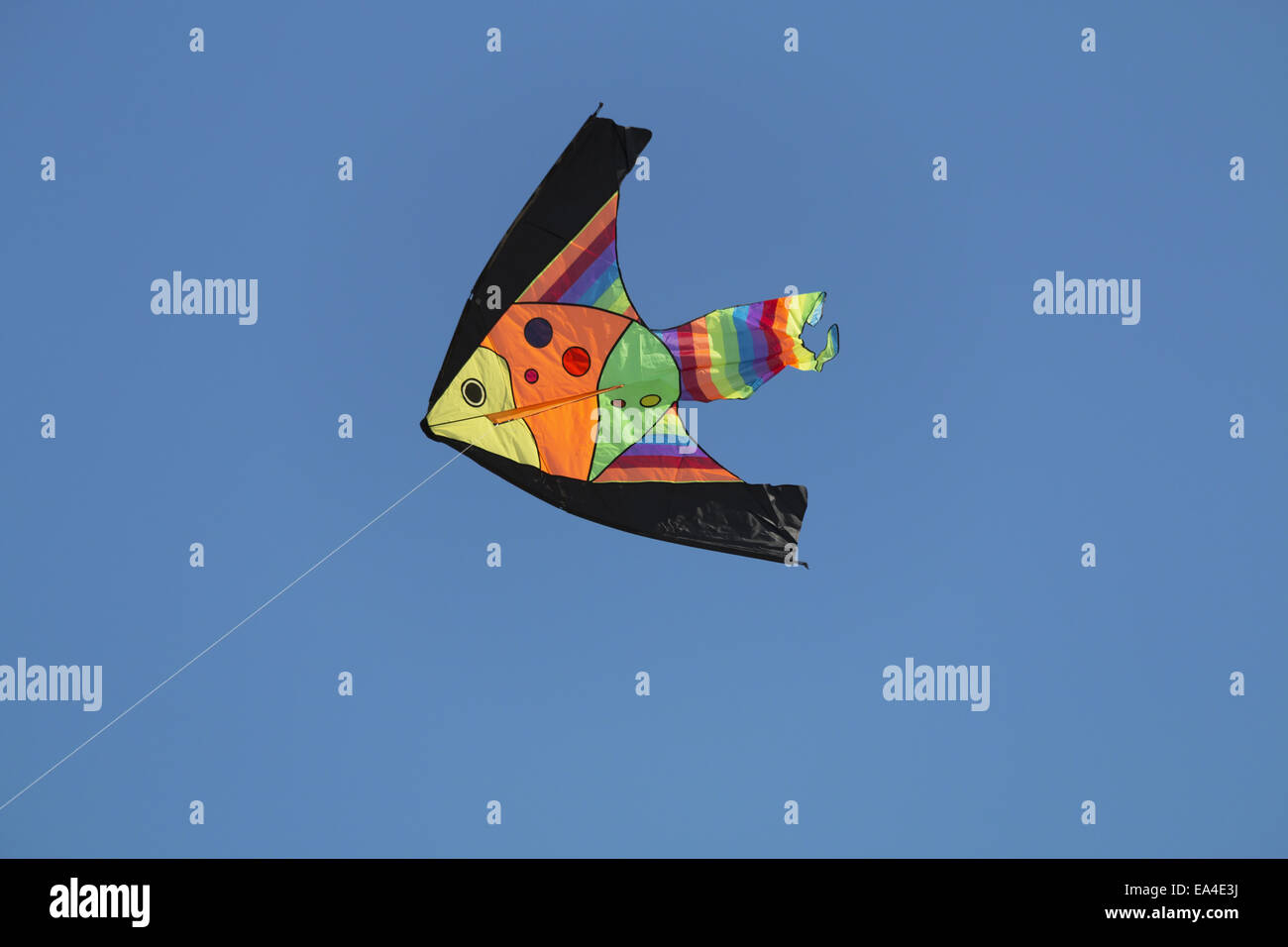 Red kite below hi-res stock photography and images - Alamy