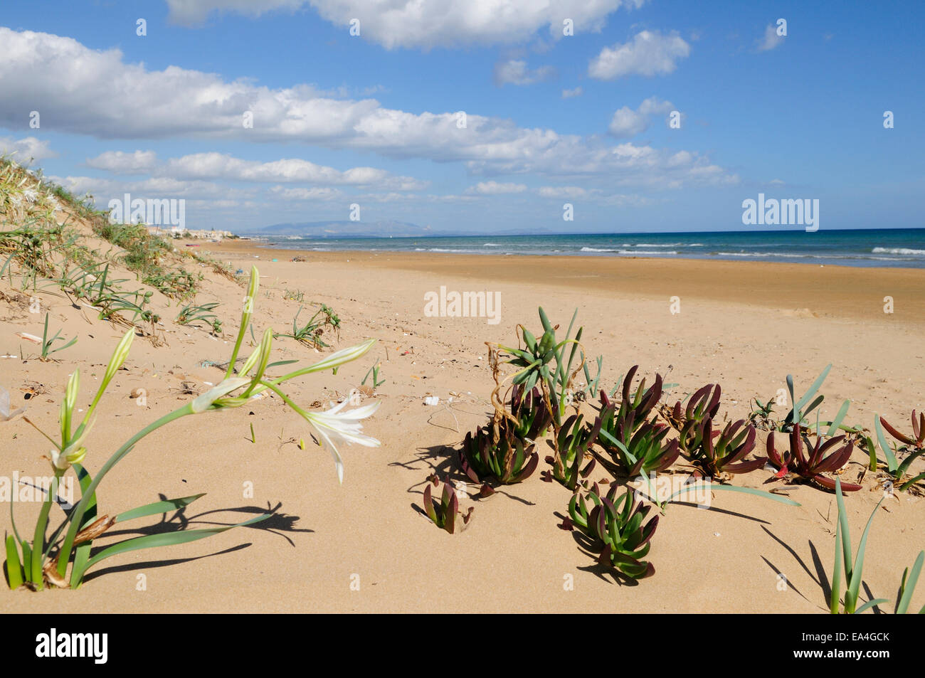 view of the beautiful beach of Tre Fontane, Sicily Stock Photo