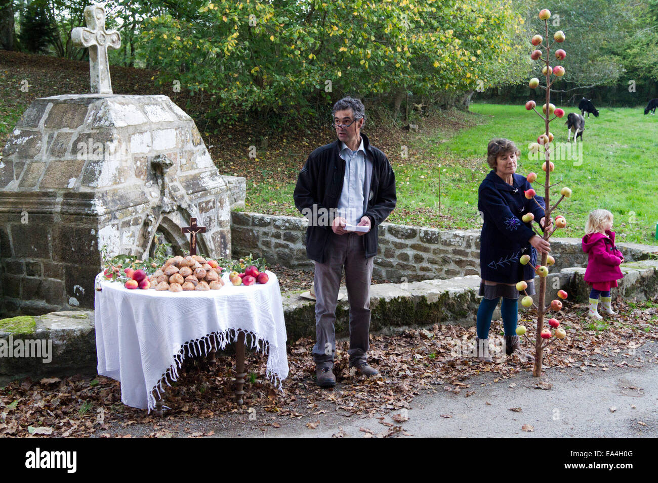 ceremonie de l arbre a pommes a la fontaine blanche plougastel daoulas brittany france the ceremony of the apple tree stock photo alamy