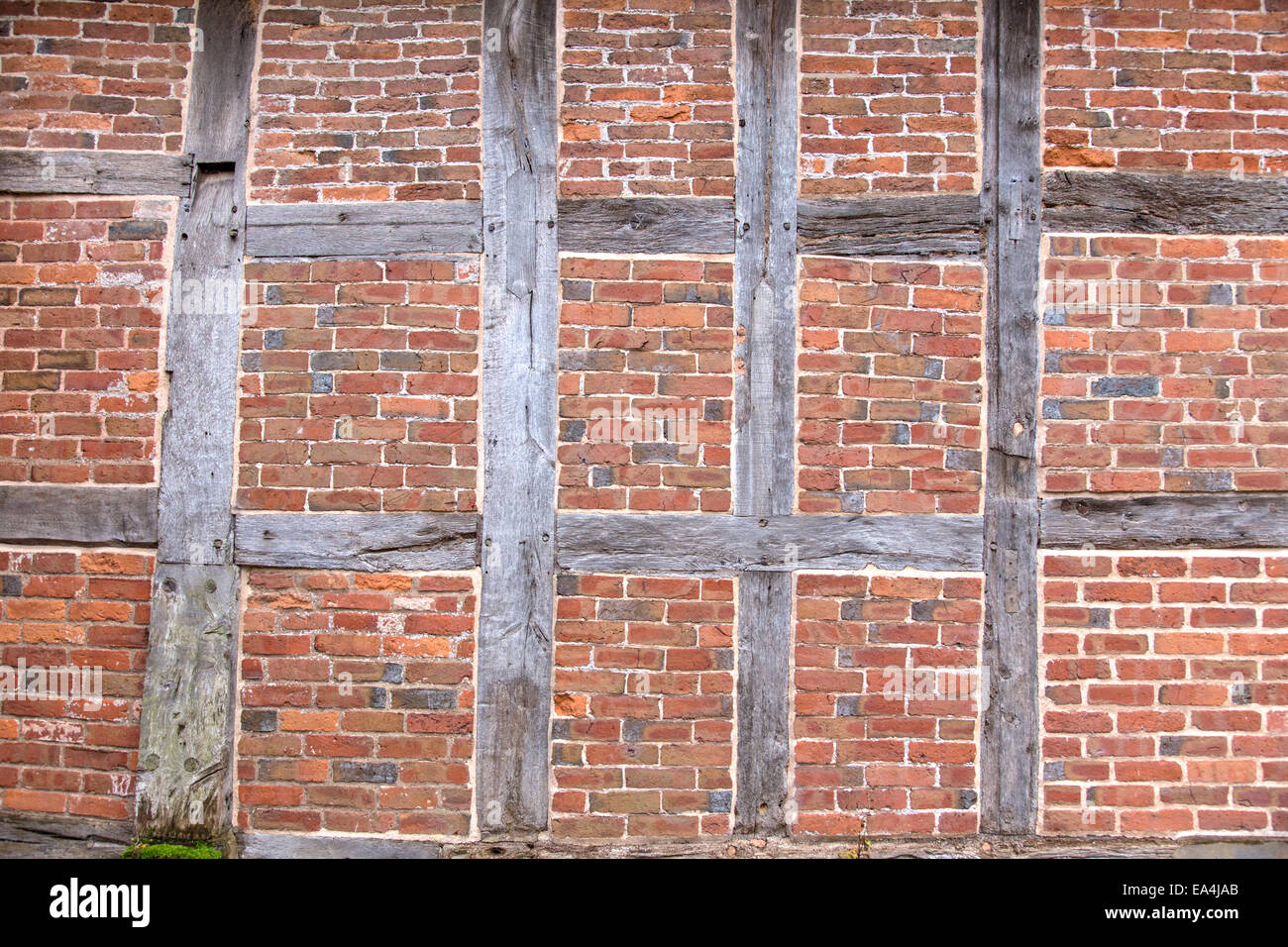 14th century box timber framed  wall at Brockhampton Manor near Bromyard, Herefrodshire, England, UK Stock Photo