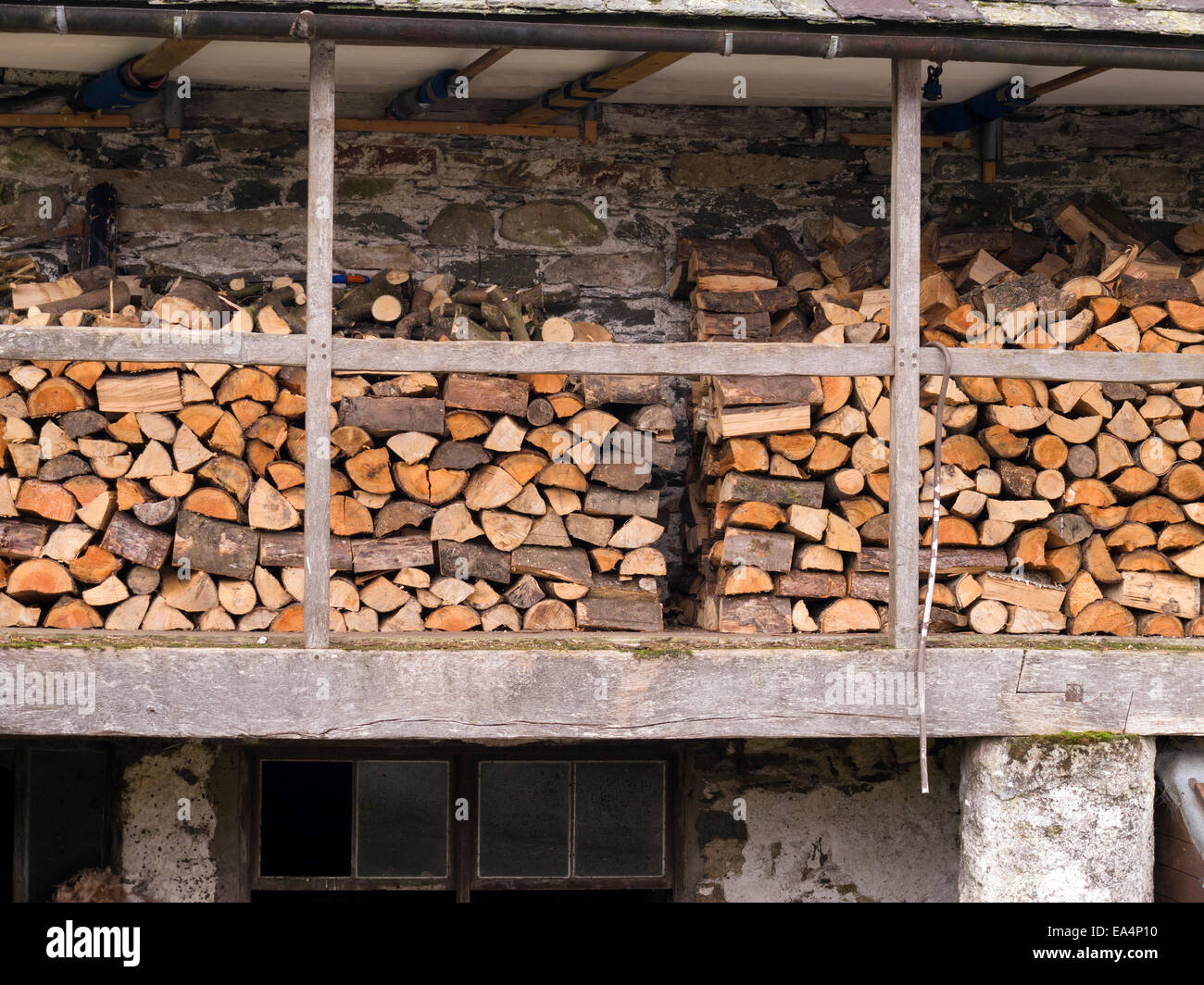 Stacked chopped wood log firewood fuel store Stock Photo