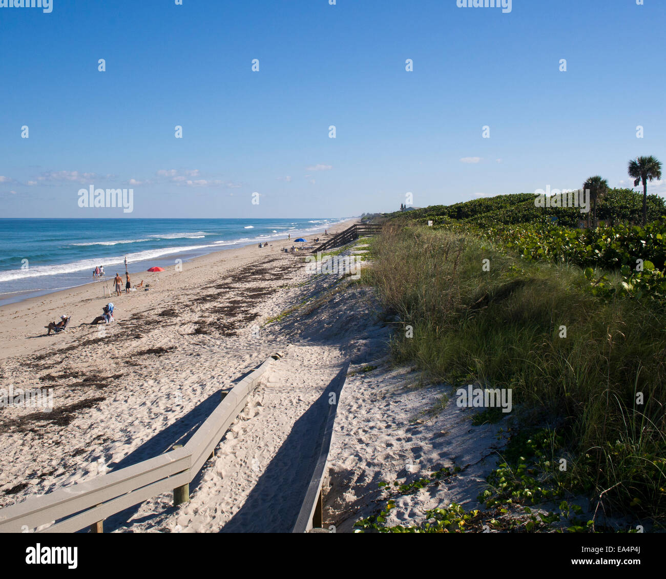 Ponce de león hires stock photography and images Alamy
